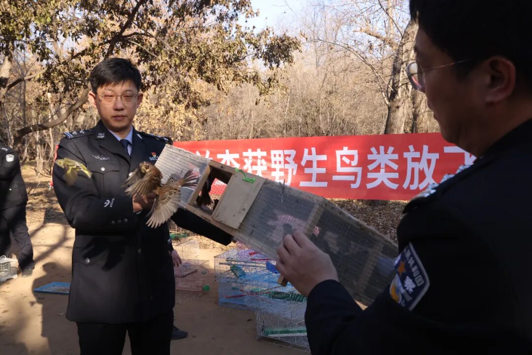 辽宁公安严打危害鸟类犯罪 已放飞1.35万只野生鸟类